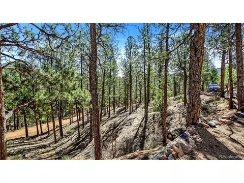 Exterior - 16536 Ouray Rd, Pine, CO 80470 photo 3 of 9