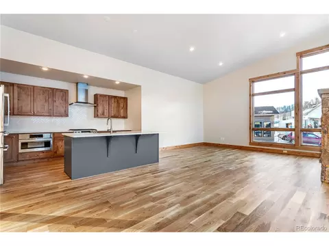 66 E Baron Way, Silverthorne, CO 80498 photo 6