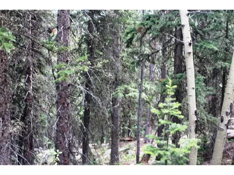 0 Hidden Wilderness Rd, Idaho Springs, CO 80452