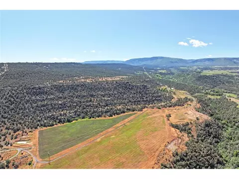 Undisclosed, Collbran, CO 81624 photo 13