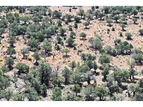 Undisclosed, Collbran, CO 81624 photo 19