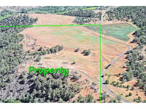 Undisclosed, Collbran, CO 81624 photo 10