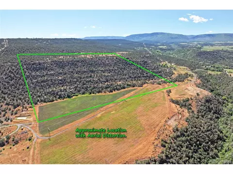Undisclosed, Collbran, CO 81624 photo 5