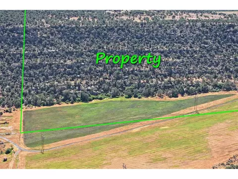 Undisclosed, Collbran, CO 81624 photo 16