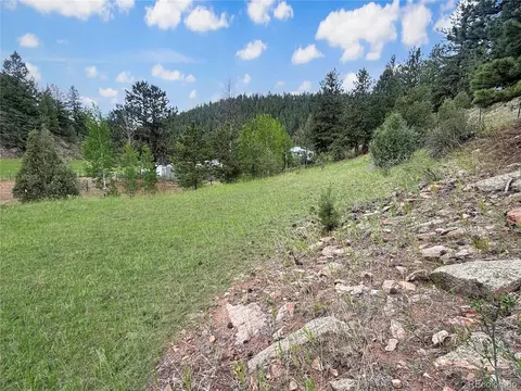 Exterior - 427 Brookside Dr, Bailey, CO 80421 photo 8 of 9