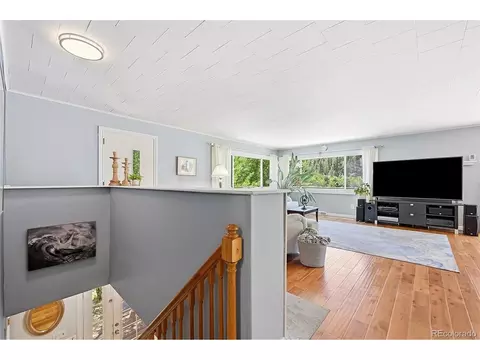 Other - 427 Brookside Dr, Bailey, CO 80421 photo 3 of 7