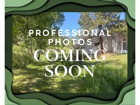 427 Brookside Dr, Bailey, CO 80421