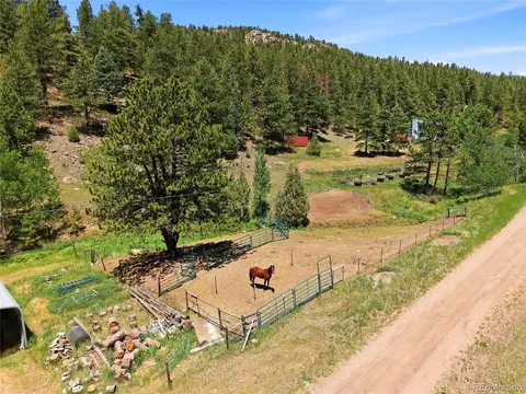 Other - 427 Brookside Dr, Bailey, CO 80421 photo 7 of 7