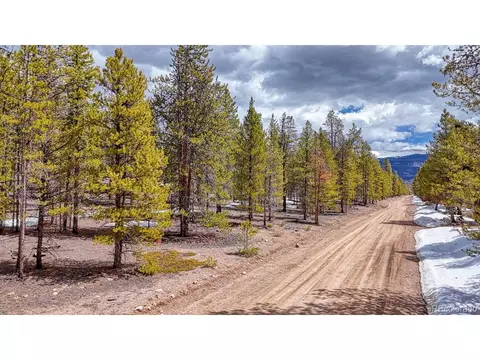 Birch Dr, Twin Lakes, CO 81251