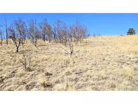 1882 Warrior Cir, Como, CO 80432 photo 13