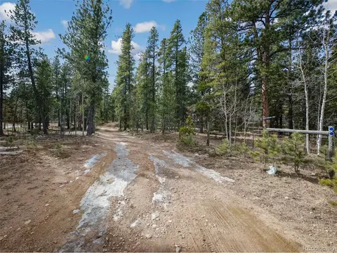 Other - 89 Prospectors Way, Bailey, CO 80421 photo 9 of 9