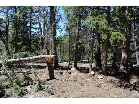 10 Arapahoe Rdg, Black Hawk, CO 80422