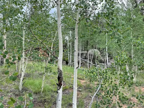 8617 Remington Rd, Como, CO 80432 photo 1