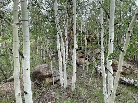 8617 Remington Rd, Como, CO 80432 photo 5