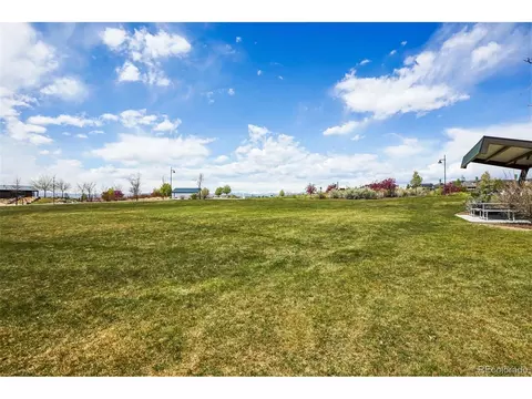 12797 Clearview St, Longmont, CO 80504 photo 38