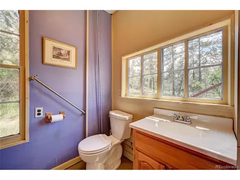 23953 Logan Ave, Pine, CO 80470 photo 7