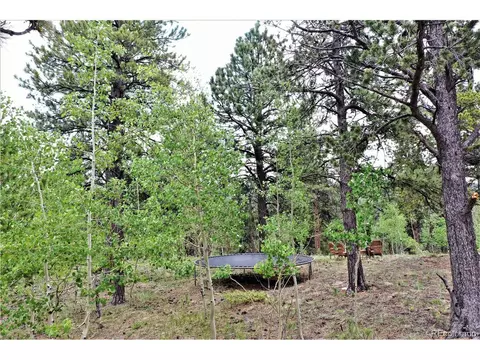 90 Tall Timber Ln, Bailey, CO 80421 photo 30