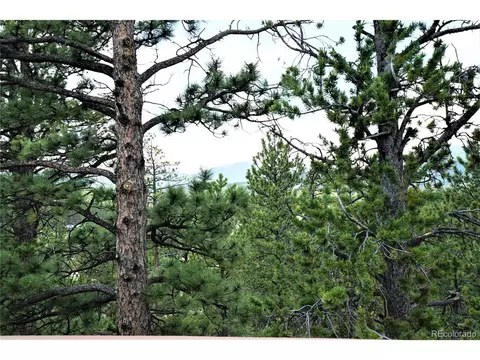 90 Tall Timber Ln, Bailey, CO 80421 photo 34