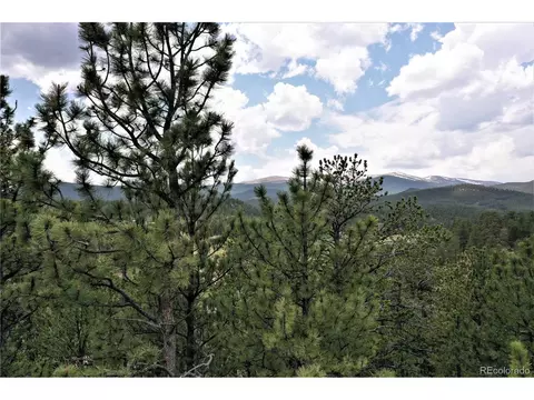 90 Tall Timber Ln, Bailey, CO 80421 photo 33