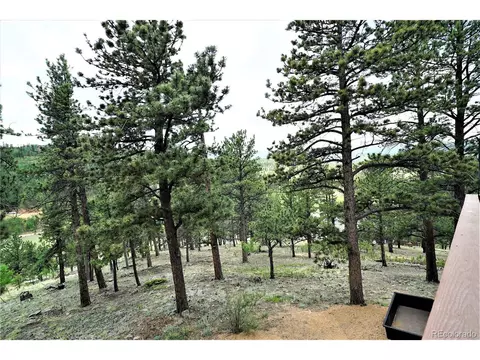 90 Tall Timber Ln, Bailey, CO 80421 photo 31
