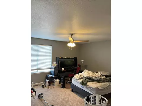 4365 E 94th Pl, Thornton, CO 80229 photo 8