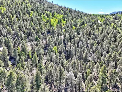 175 Blacksmith Rd, Hartsel, CO 80449 photo 14