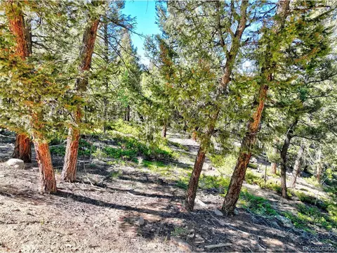 175 Blacksmith Rd, Hartsel, CO 80449 photo 4