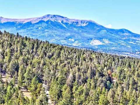175 Blacksmith Rd, Hartsel, CO 80449 photo 3