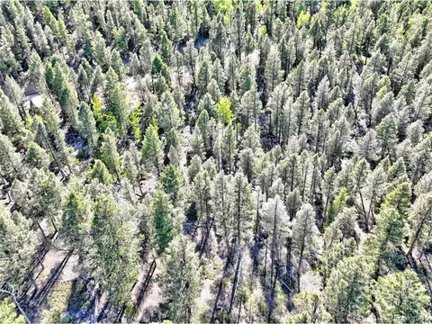 175 Blacksmith Rd, Hartsel, CO 80449 photo 2