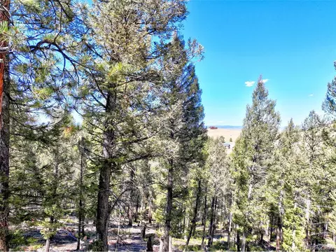 175 Blacksmith Rd, Hartsel, CO 80449 photo 8
