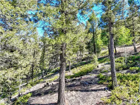 175 Blacksmith Rd, Hartsel, CO 80449 photo 11