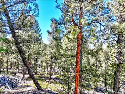 175 Blacksmith Rd, Hartsel, CO 80449 photo 7