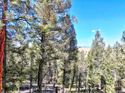 175 Blacksmith Rd, Hartsel, CO 80449 photo 9