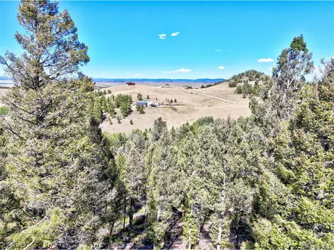 175 Blacksmith Rd, Hartsel, CO 80449