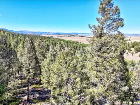 175 Blacksmith Rd, Hartsel, CO 80449 photo 6