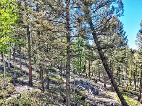 175 Blacksmith Rd, Hartsel, CO 80449 photo 12