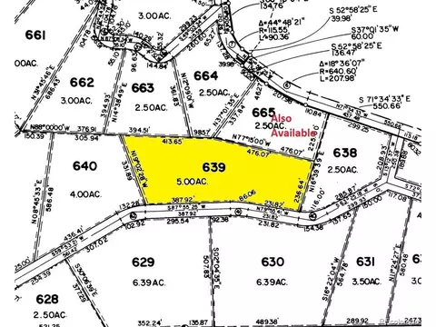 175 Blacksmith Rd, Hartsel, CO 80449 photo 18