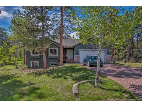 1309 Snowshoe Ct, Woodland Park, CO 80863