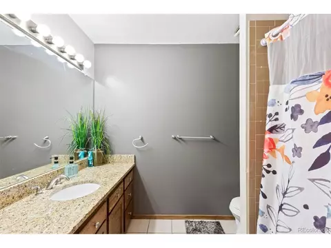Bath - 11261 Quivas Loop, Denver, CO 80234 photo 3 of 5