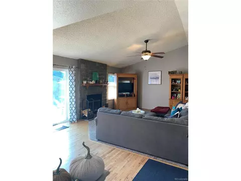 6014 S Perth St, Centennial, CO 80015 photo 9