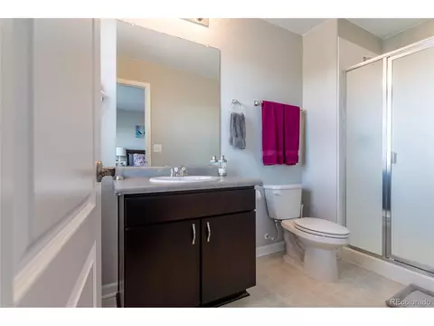 16236 E 101st Way, Commerce City, CO 80022 photo 15