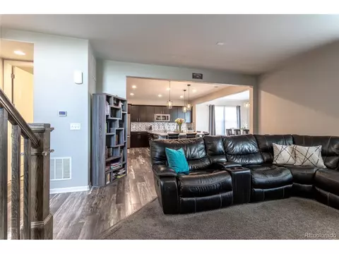 16236 E 101st Way, Commerce City, CO 80022 photo 3