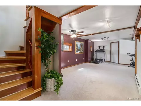298 Yellow Pine Dr, Bailey, CO 80421 photo 17