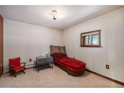 298 Yellow Pine Dr, Bailey, CO 80421 photo 19