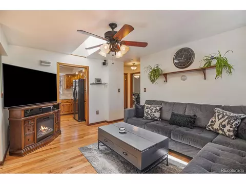 298 Yellow Pine Dr, Bailey, CO 80421 photo 8