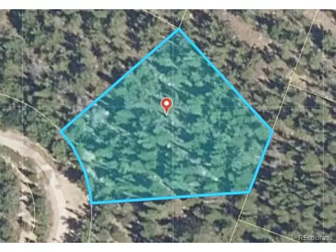 334 Eva Rd, Idaho Springs, CO 50452