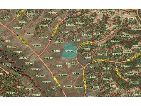 2125 Trujillo Rd, Fort Garland, CO 81133