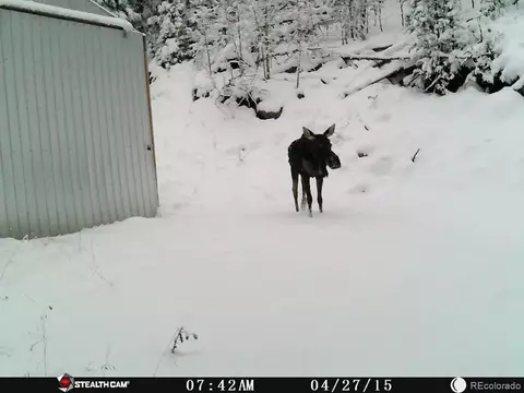 280 Co Road 50, Como, CO 80432 photo 2
