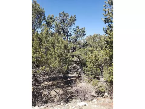 Undisclosed, Mosca, CO 81146 photo 5