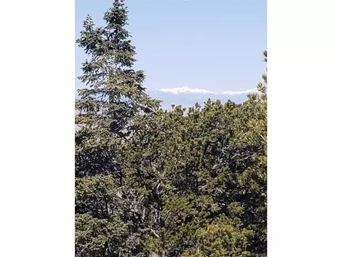 Undisclosed, Mosca, CO 81146 photo 9